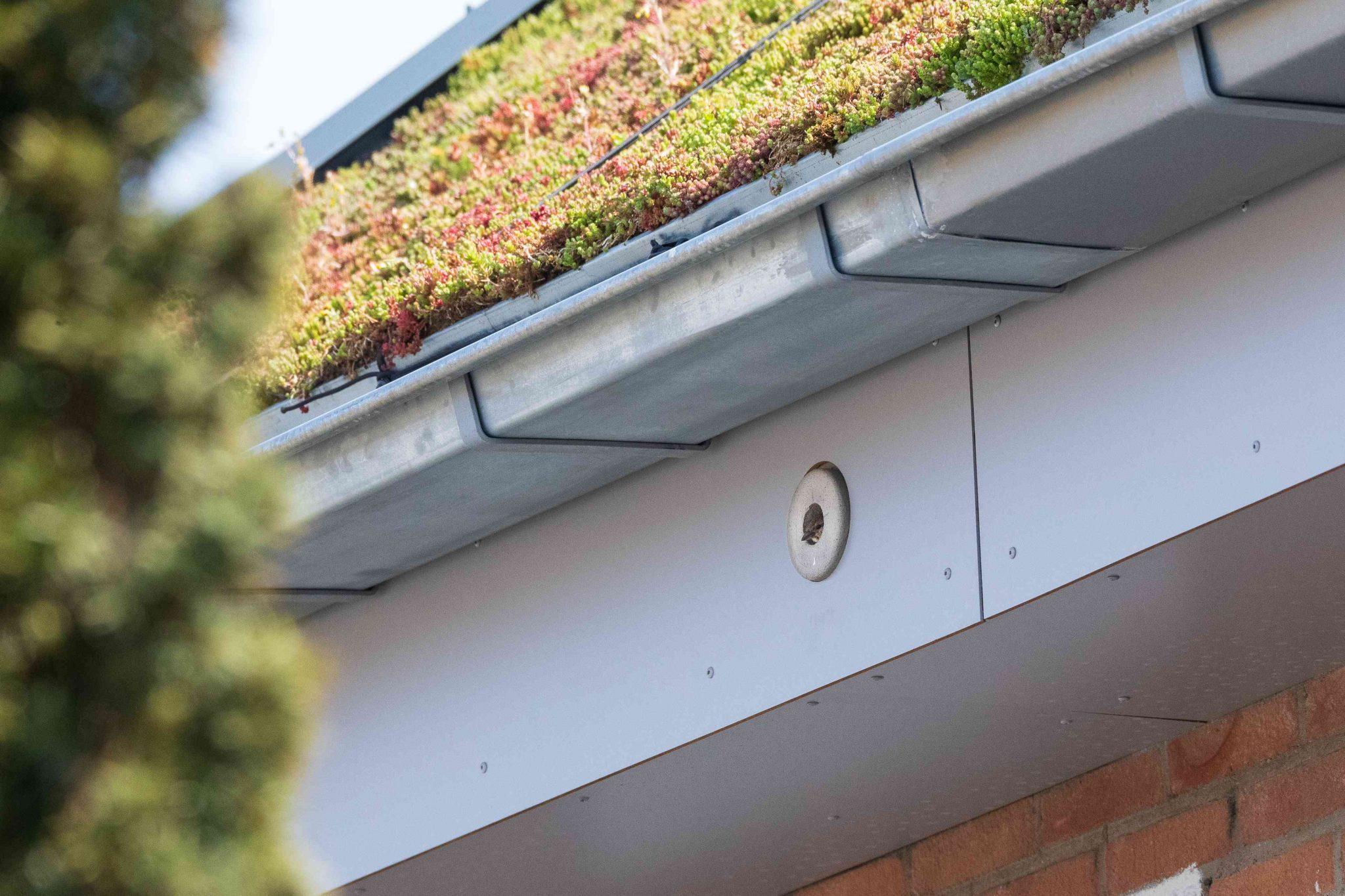 Natuurvriendelijk isoleren